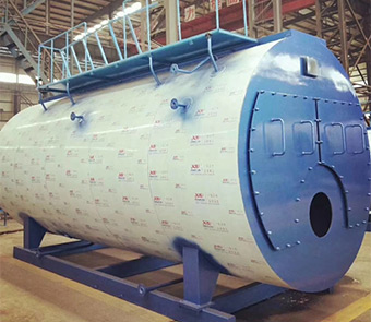 CWNS燃甲醇熱水鍋爐